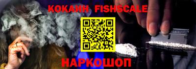 гашик Дубна