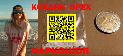 гашик Дубна