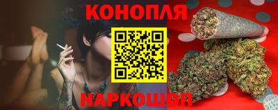 гашик Дубна