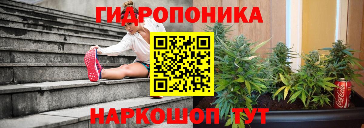 Бошки марихуана White Widow  Канабис индика  Вход с VPN  Мирный  Канабис ГИДРОПОН 